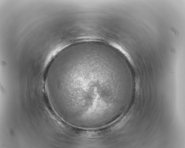 X0000091351357200708101522