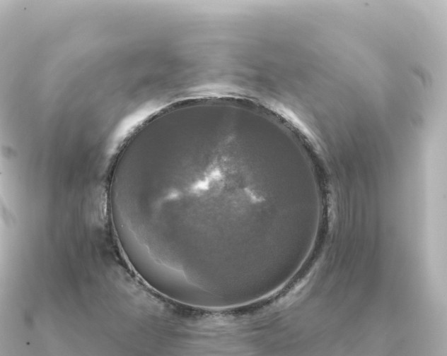 X0000091351358200708101522