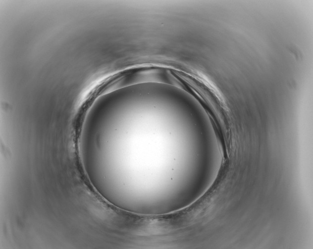 X0000091351360200708101522