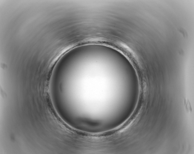 X0000091351361200708101522