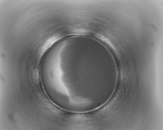 X0000091351362200708101522