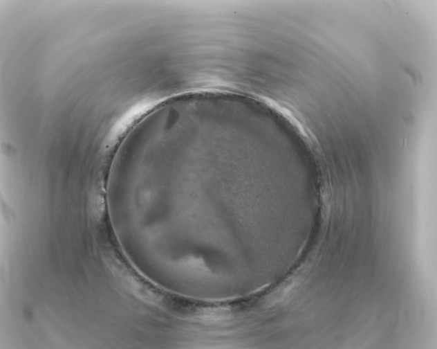X0000091351363200708101522