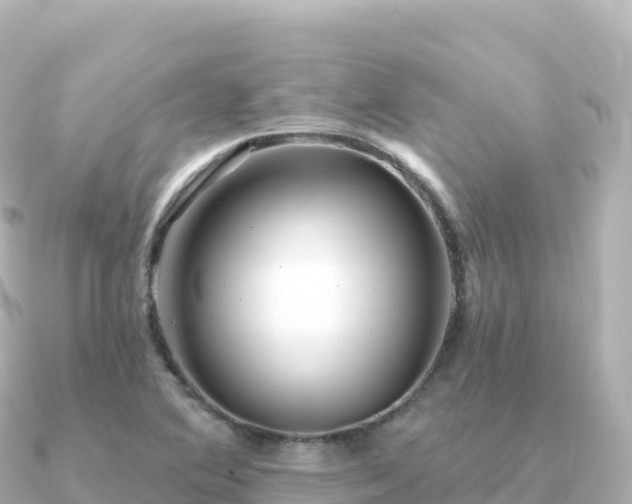 X0000091351364200708101522