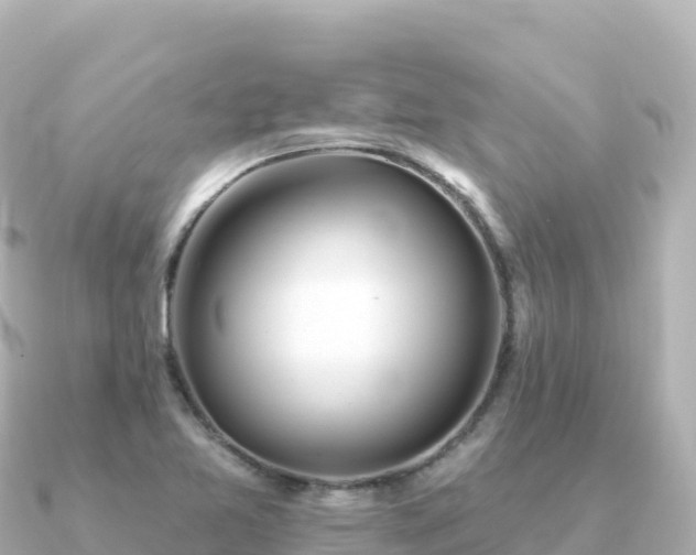 X0000091351365200708101522