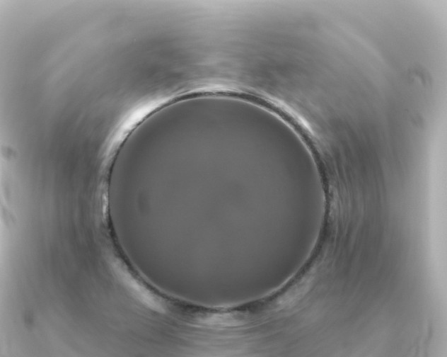 X0000091351367200708101522