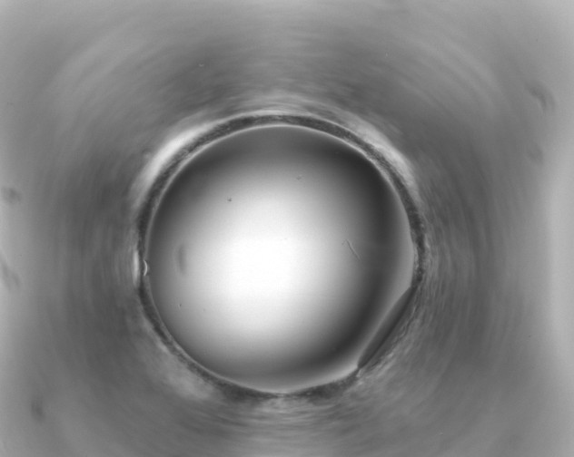 X0000091351368200708101522