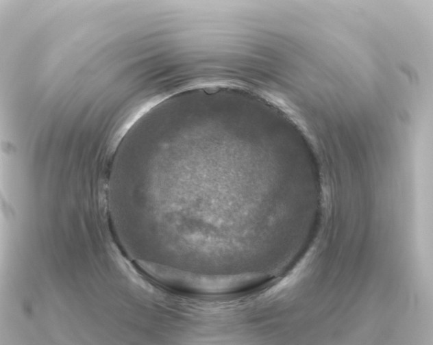 X0000091351369200708101521
