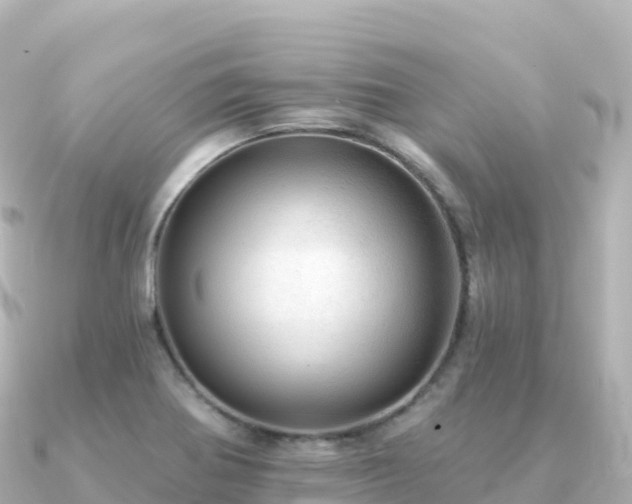 X0000091351370200708101521