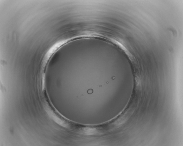 X0000091351371200708101521
