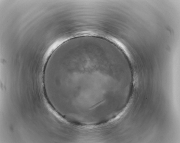 X0000091351373200708101521