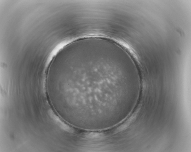 X0000091351374200708101521