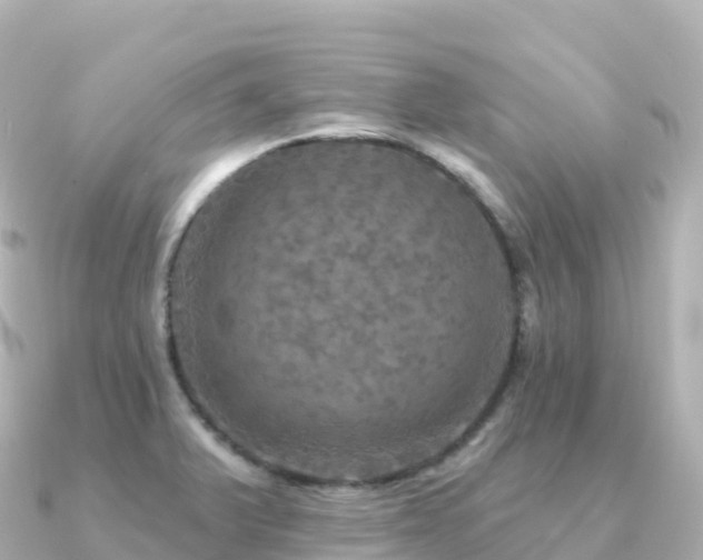 X0000091351375200708101521