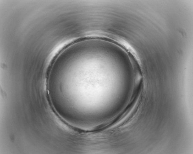 X0000091351376200708101521