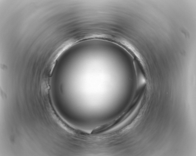 X0000091351377200708101521