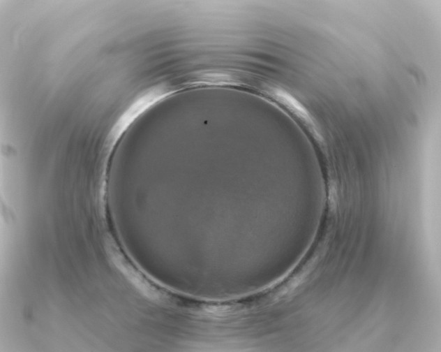 X0000091351378200708101521