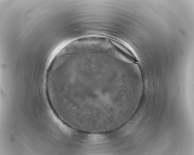 X0000091351379200708101521
