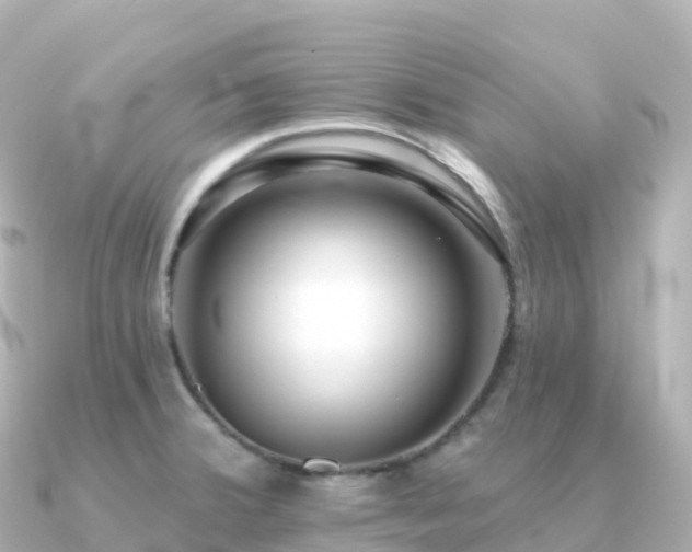 X0000091351380200708101521