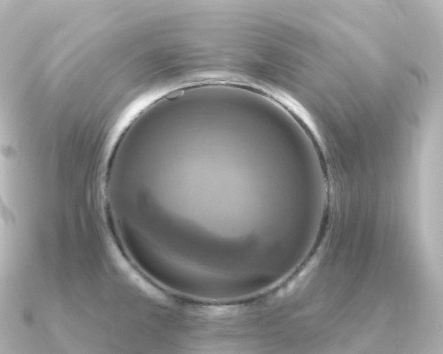 X0000091351381200708101521