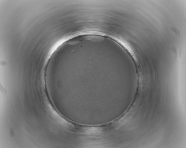 X0000091351382200708101521