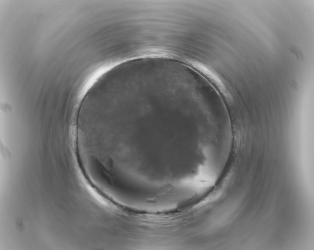 X0000091351383200708101521