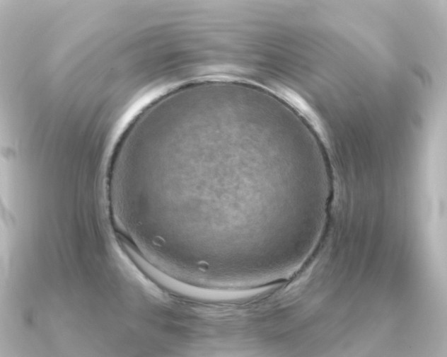 X0000091351384200708101521