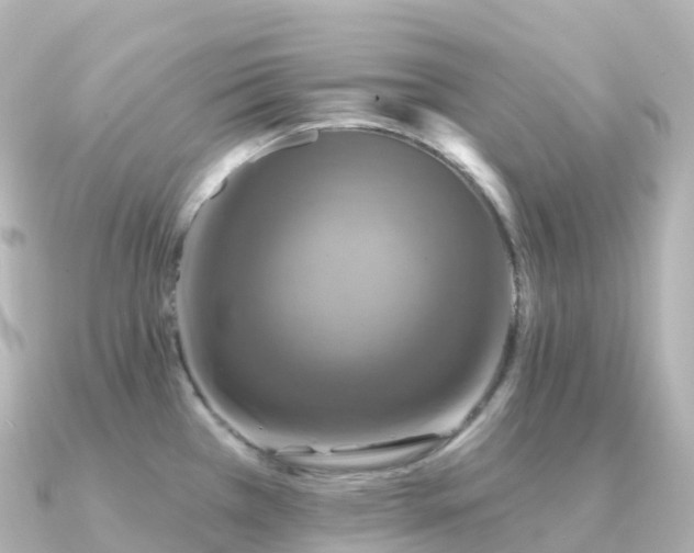 X0000091351385200708101521