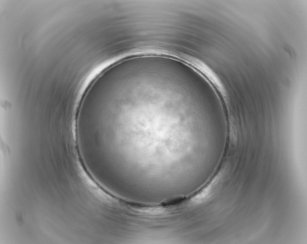 X0000091351388200708101521