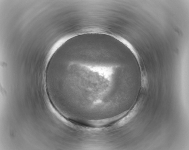 X0000091351389200708101521