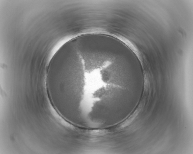 X0000091351390200708101521
