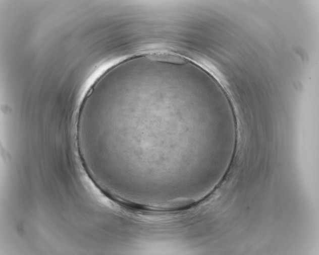 X0000091351392200708101521