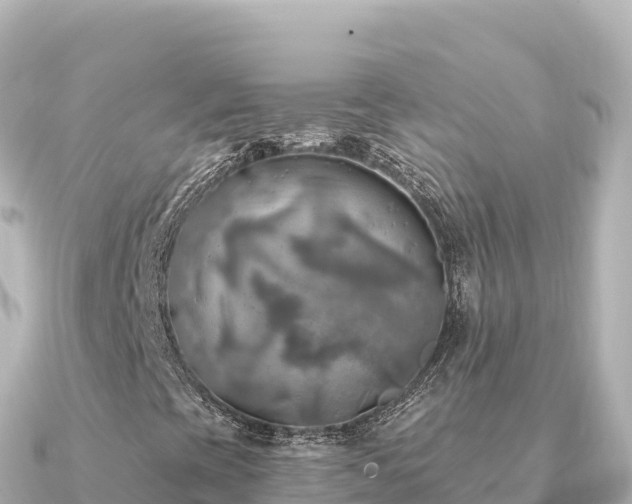 X0000091351393200708101521