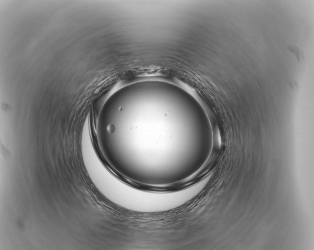 X0000091351394200708101521