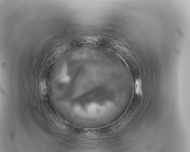 X0000091351395200708101521