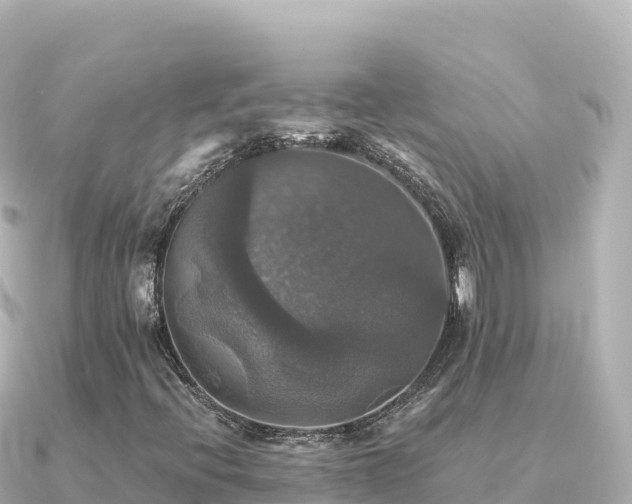 X0000091351396200708101521