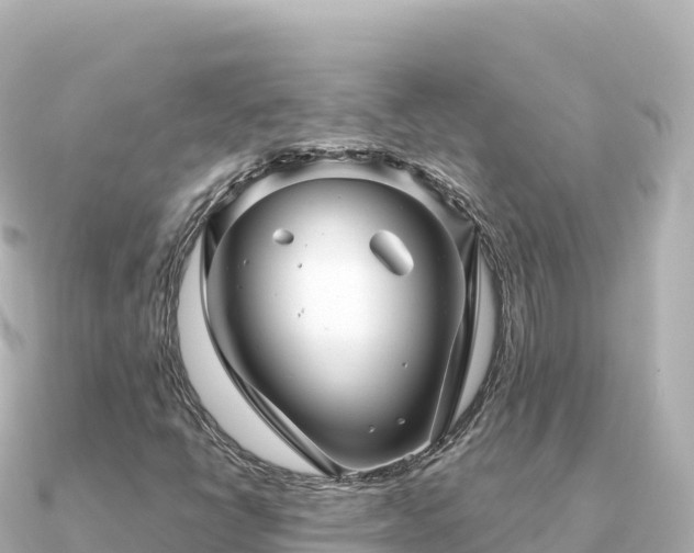 X0000091351398200708101521