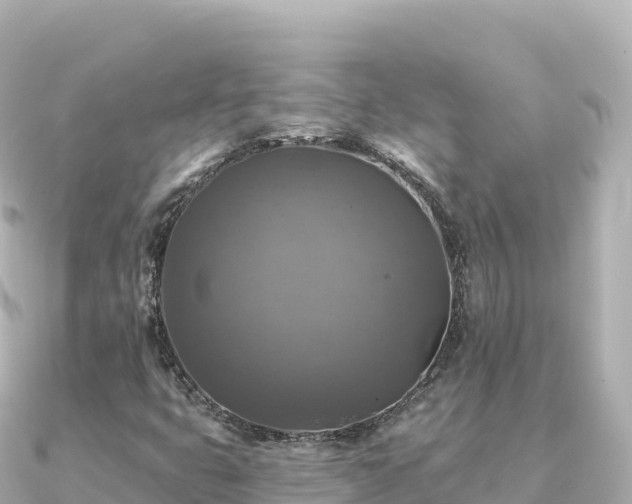 X0000091351399200708101521