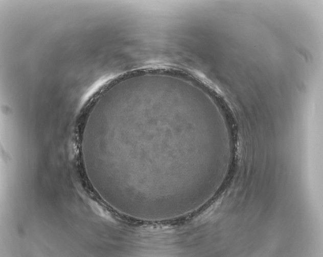 X0000091351400200708101521