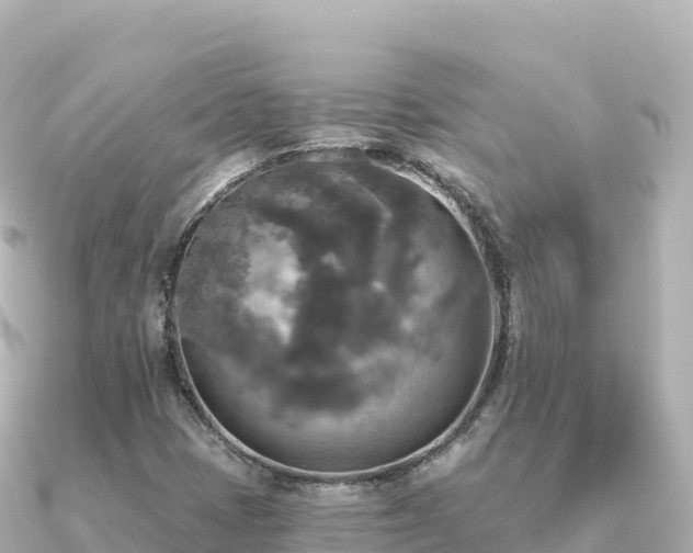 X0000091351401200708101521