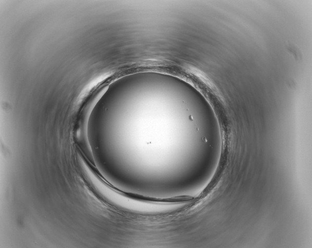 X0000091351402200708101521