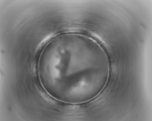 X0000091351403200708101521