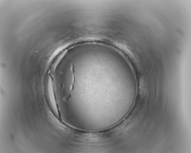X0000091351404200708101521