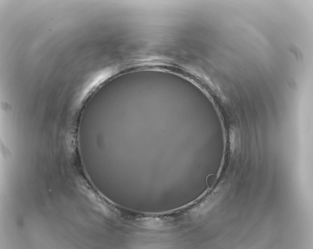X0000091351405200708101521