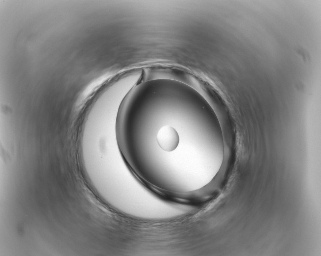 X0000091351406200708101521