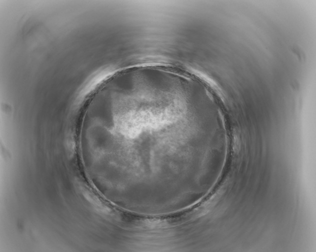X0000091351407200708101521