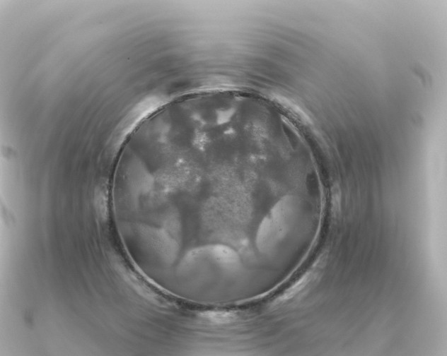 X0000091351409200708101521