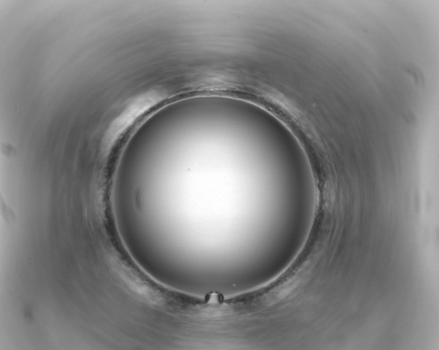 X0000091351410200708101521
