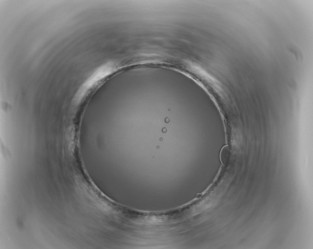 X0000091351411200708101521