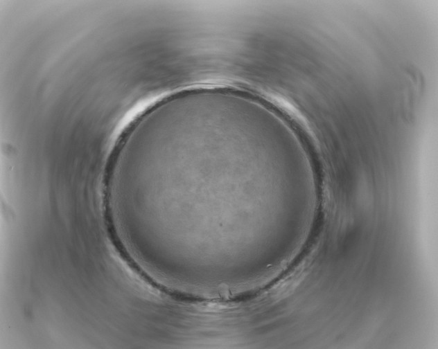 X0000091351412200708101521