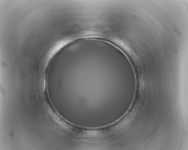 X0000091351413200708101521