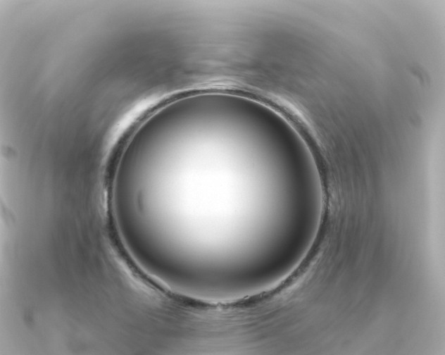 X0000091351414200708101521